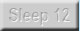 Sleeps 12
